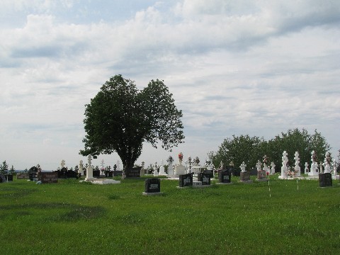 Dickiebush Saints Peter & Paul Cemetery.jpg