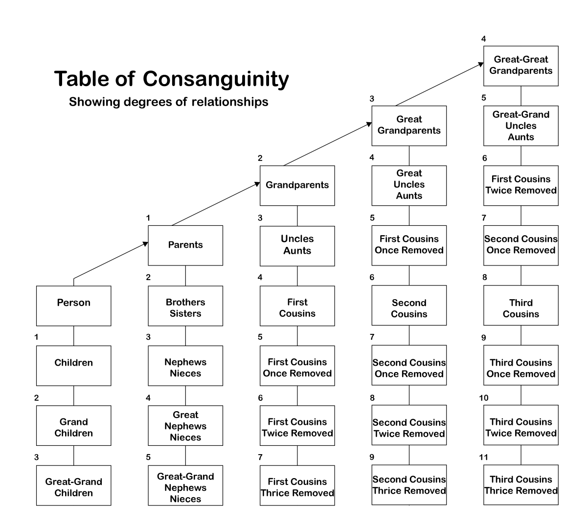 Table of Consanguinity showing degrees of relationship.svg.png