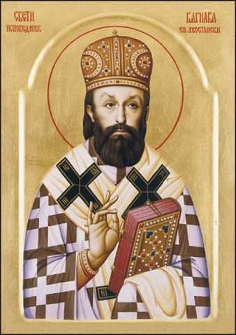Varnava hvostanski S.jpg