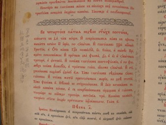 TridodionPage.jpg