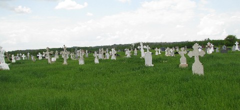 Shepinitz-Malin Cemetery.jpg