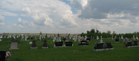 Shepinitz-Malin Cemetery1.jpg
