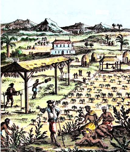 ColonialTobacco PlantationA 2.png
