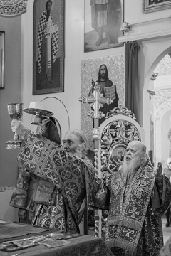 Metropolitan Nikolai serving S.png