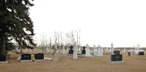 St Nicholas Bukovina Cemetery a.jpg